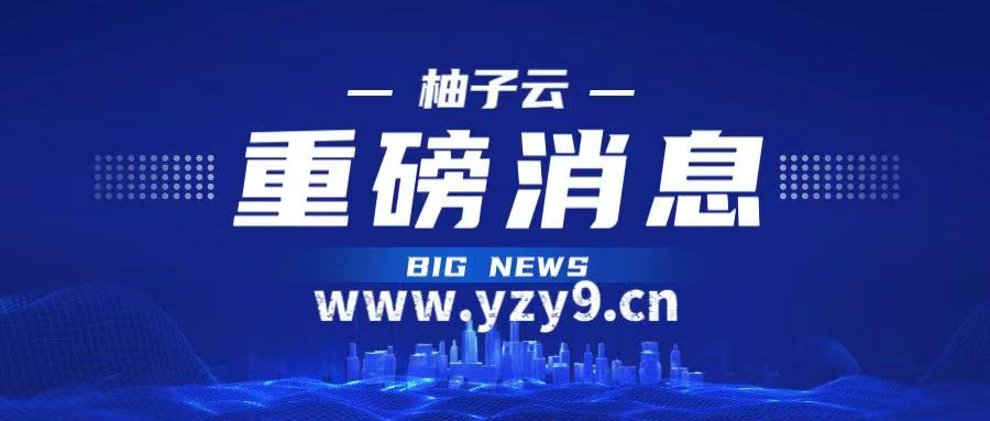 柚子云-_全网首发_高质量项目输出