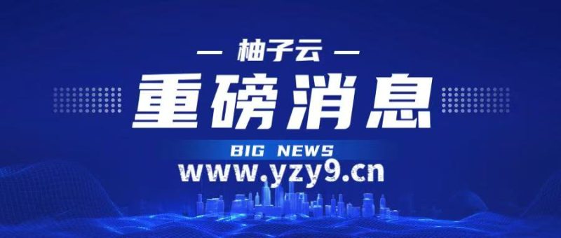 柚子云-_全网首发_高质量项目输出